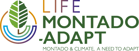 Montado & Climate